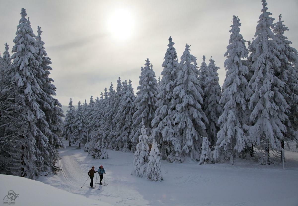 Stadtstreuner Winterberg Buitenkant foto